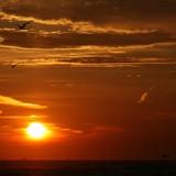 2008-Juli-HH-Juist-767
