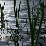IMG-0222