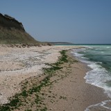 2009-Aug-Krapetz-338