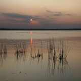 2009-Aug-Krapetz-593