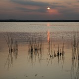 2009-Aug-Krapetz-595-edited-1