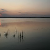 2009-Aug-Krapetz-600