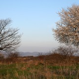 2007-04-Guzal-051