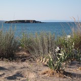 2009-Juli-Kiten-183