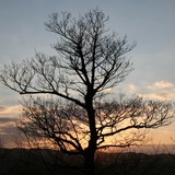 2007-04-Guzal-076