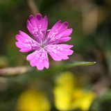 2009-Oktober-050
