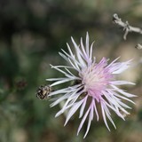 2009-Oktober-074