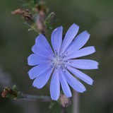 2009-Oktober-111