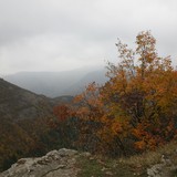 2009-Oktober-187