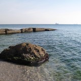 IMG-0006-edited-1