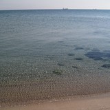IMG-0022