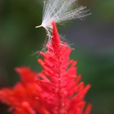 2010-Aug-Krapetz-034