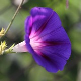 2010-Aug-Krapetz-110