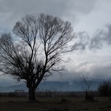2010-Jan-2-nd-half-126