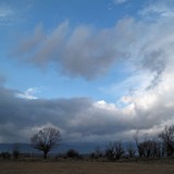 2010-Jan-2-nd-half-147