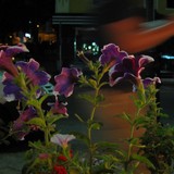2010-Jun-010