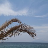 2010-Mai-Thassos-285
