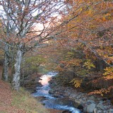 2010-Okt-Ribariza-53