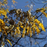 2010-Okt-Sofia-012