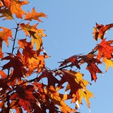 2010-Okt-Sofia-021