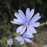 IMG-0016