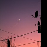 Melancholiae