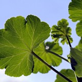 2011-Apr-14-edited-1