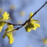 2011-Apr-144-edited-1