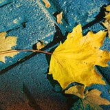 2011-Okt-Galia-07-edited-2