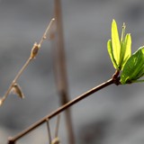 IMG-5488-edited-1