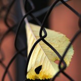 IMG-6683-edited-2