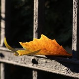 IMG-6790-edited-1