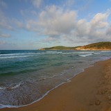 Mare
