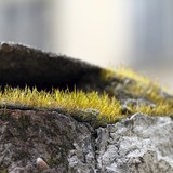 2013-Mar-Sf-18