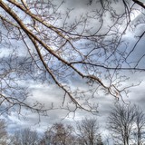 2013-Mar-Sf-50-1-2-tonemapped