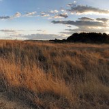 Varvara2-Panorama1