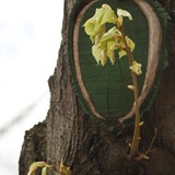 2013-Apr-1-Sf-47