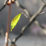 2013-Dec-99-3-edited