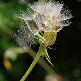 2013-Mai-Chernm-111-ed