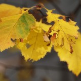 2013-Okt-Sf-Ihtim-48-edited