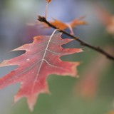 2013-Okt-Sf-Ihtim-73