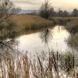 2014-Okt-Blatat-045-6-7-tonemapped3
