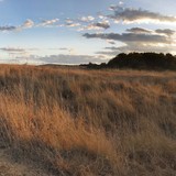 Varvara2-Panorama1