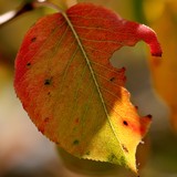 2006-10-25-086