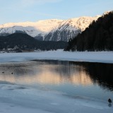 2008-Feb-St-Moritz-191